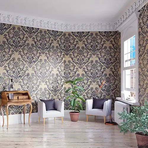 Find Our More About Our Services